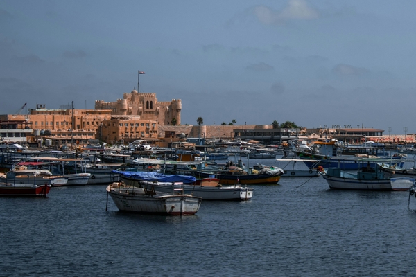 What are the Best Fake Markets in Alexandria?