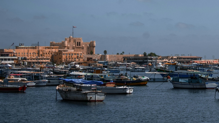 What are the Best Fake Markets in Alexandria?