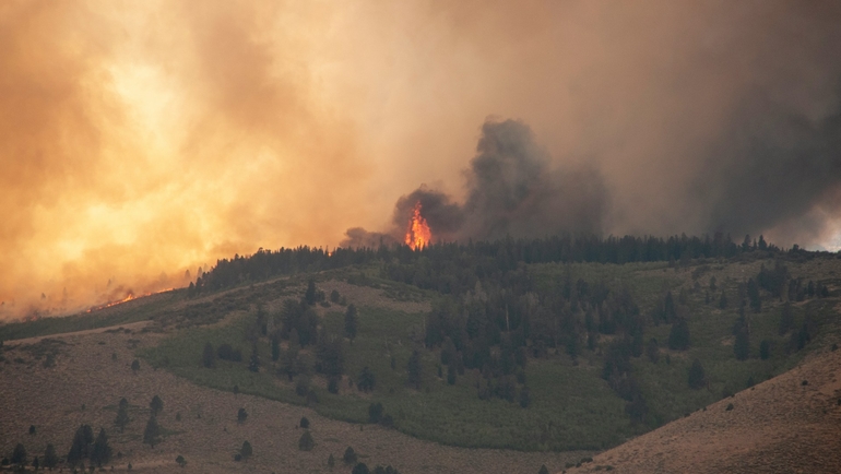 Is the wildfire risk still high in Southern Europe this summer?