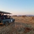Is South Africa Safe for Family Safaris in 2025?