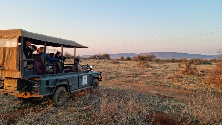 Is South Africa Safe for Family Safaris in 2025?