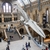Can Families Still Find Free Museums in Europe in 2025?