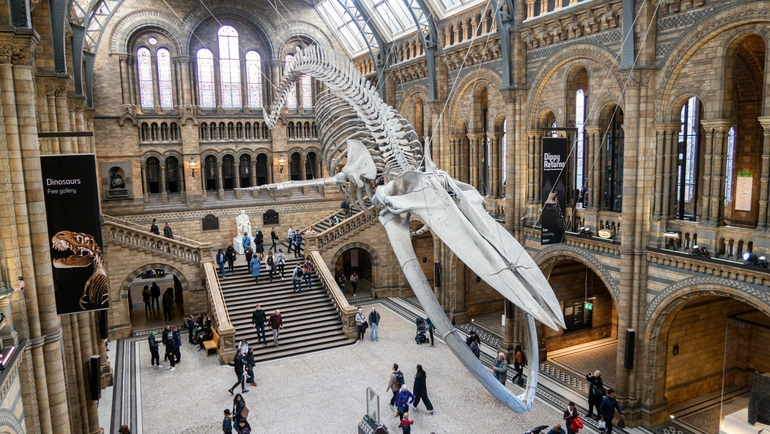 Can Families Still Find Free Museums in Europe in 2025?