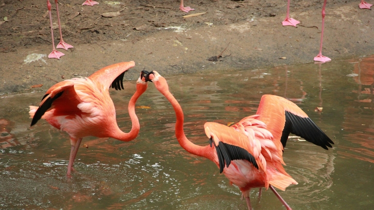Best Theme Parks to Visit in Guangzhou