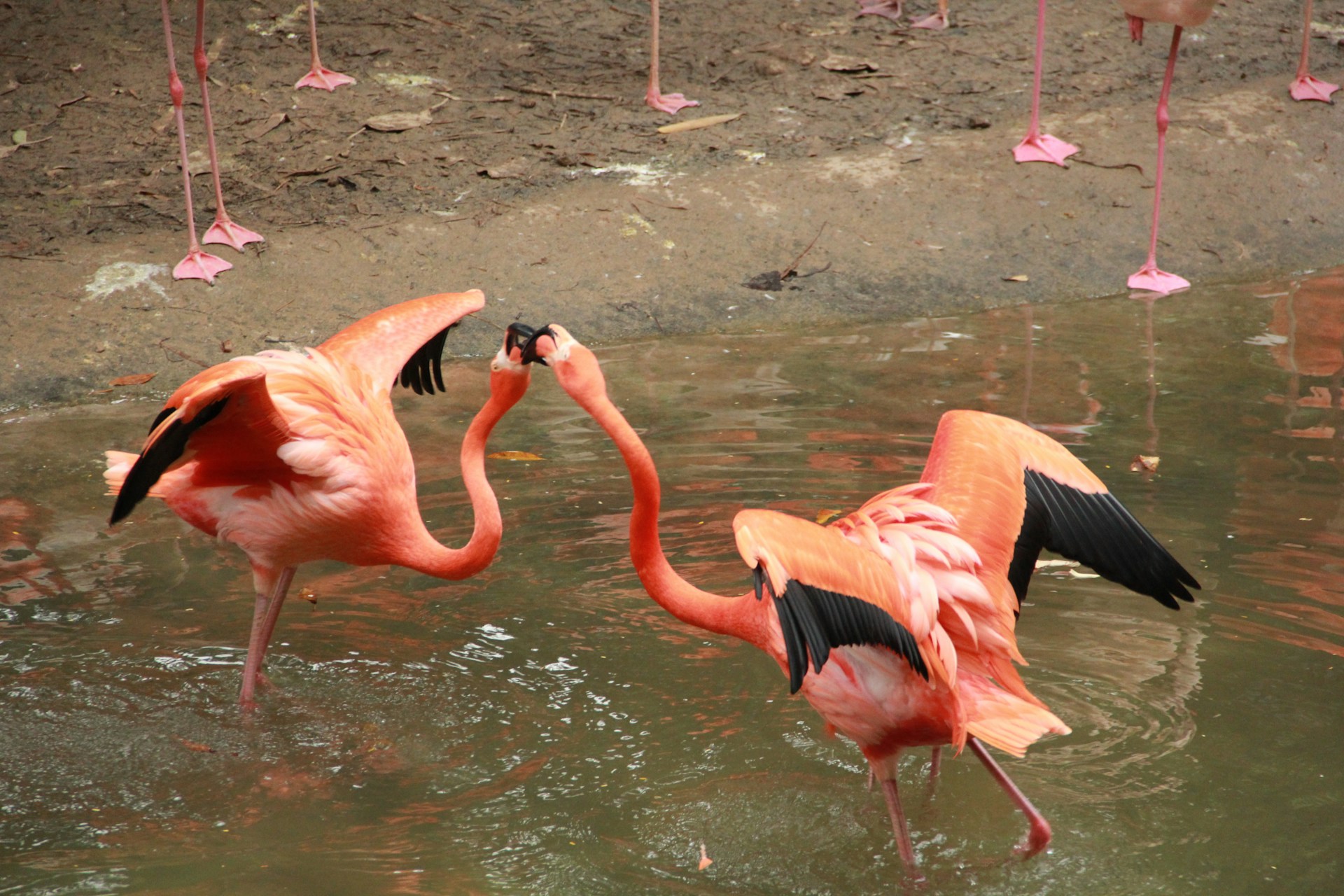 Best Theme Parks to Visit in Guangzhou