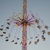 Best Theme Parks to Visit in Prague