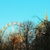 Best Theme Parks to Visit in Vienna