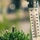 Can Families Travel Safely When Temperatures Exceed 40°C?