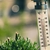 Can Families Travel Safely When Temperatures Exceed 40°C?