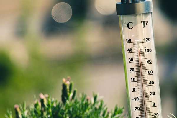 Can Families Travel Safely When Temperatures Exceed 40°C?