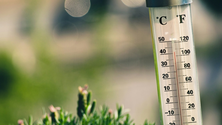Can Families Travel Safely When Temperatures Exceed 40°C?