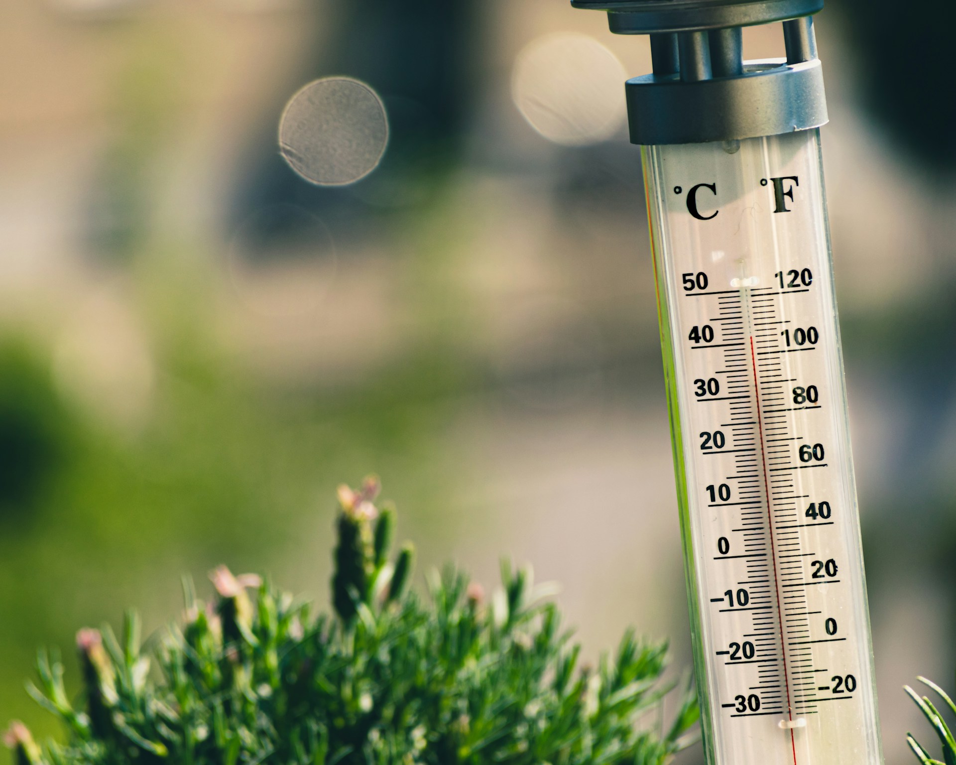 Can Families Travel Safely When Temperatures Exceed 40°C?