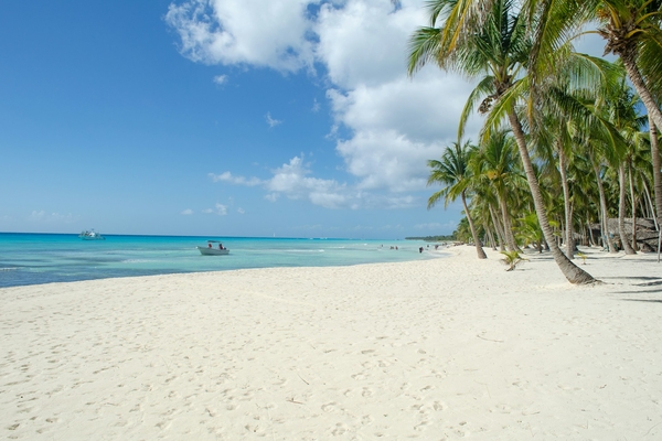 Which Caribbean Destinations Are Safe During Hurricane Season?