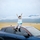 What Are Safety Concerns for Long Family Road Trips?