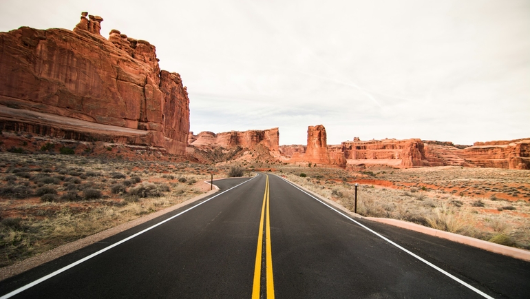 What Should Families Know About Road Trip Safety?