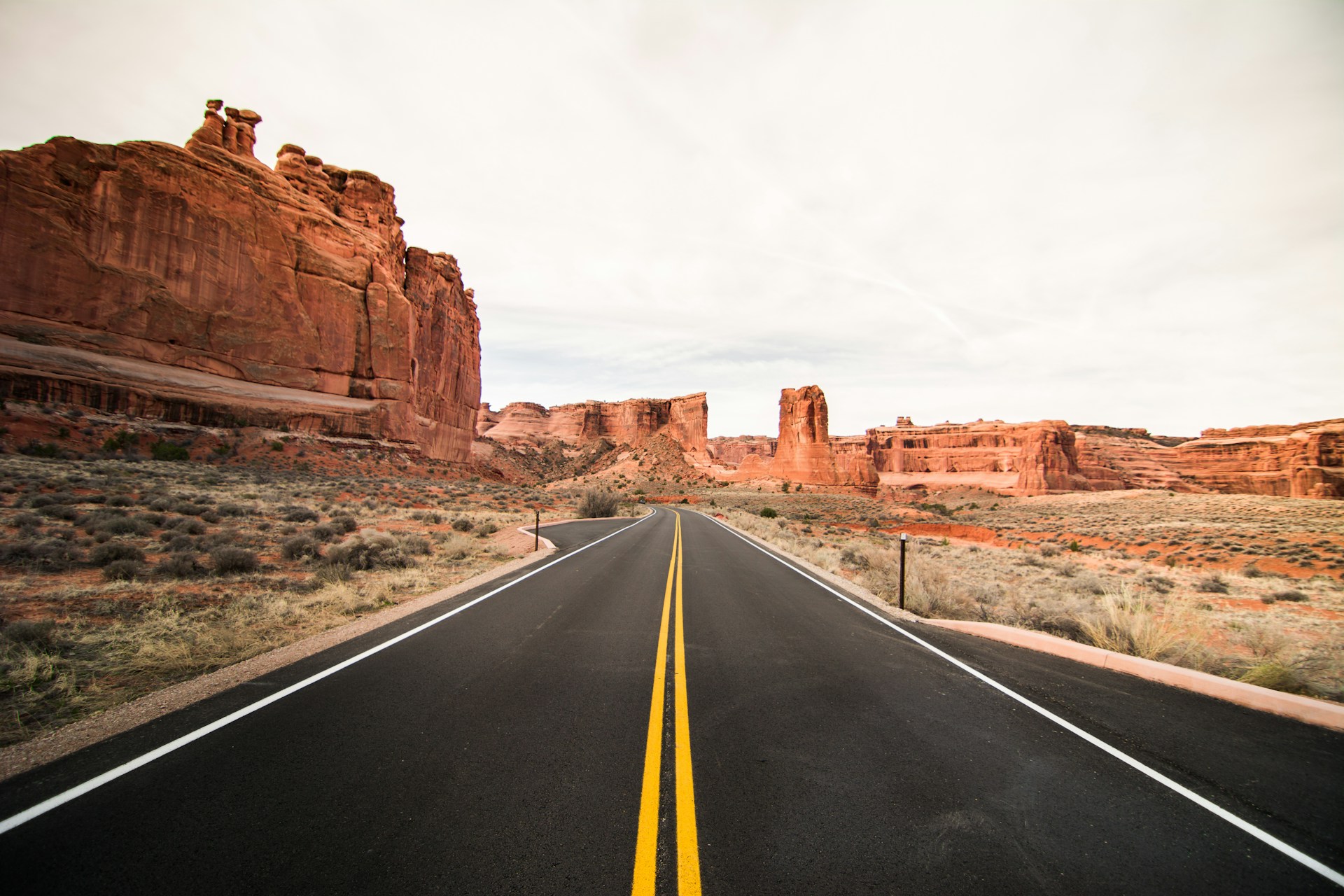 What Should Families Know About Road Trip Safety?