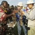 Discover the best of Kenya
