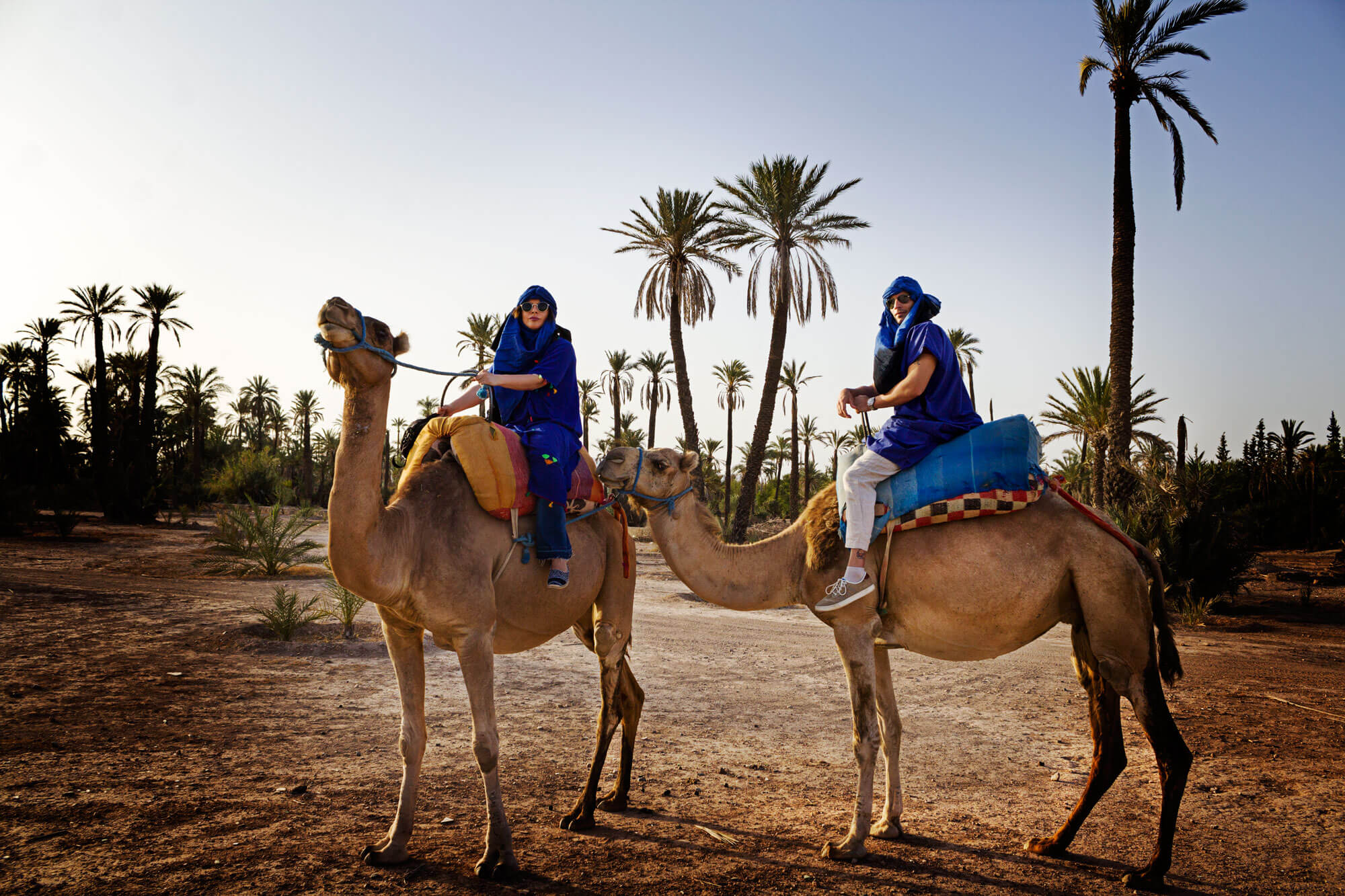 Desert and Palm Grove Camel Rides are some of the best experiences for families travelling to Morocco
