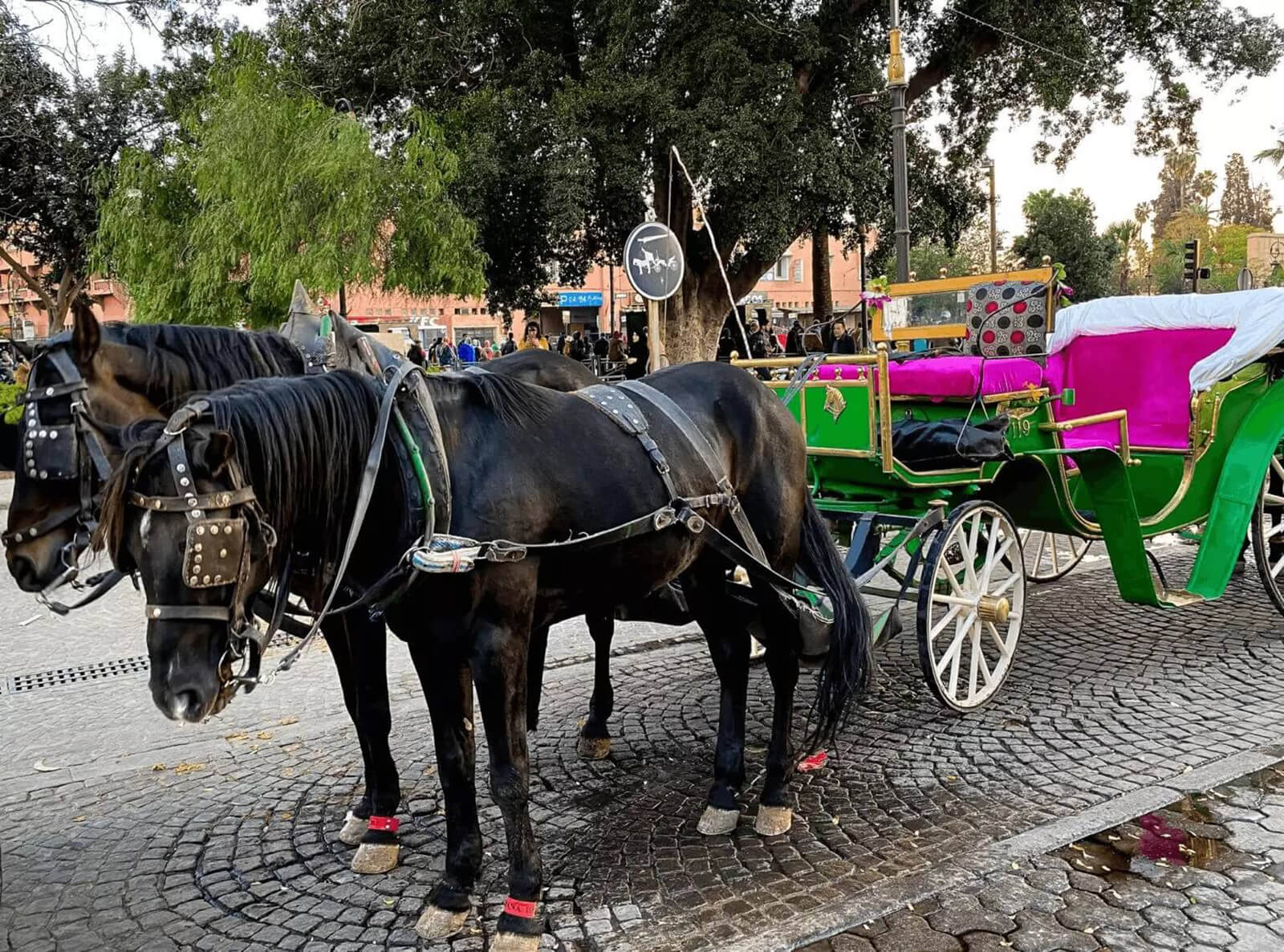 Horse-driven ride