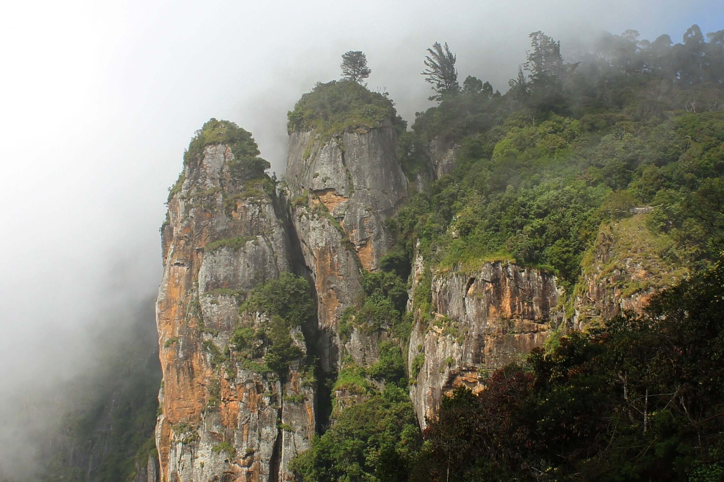 Kodaikanal in Tamil Nad