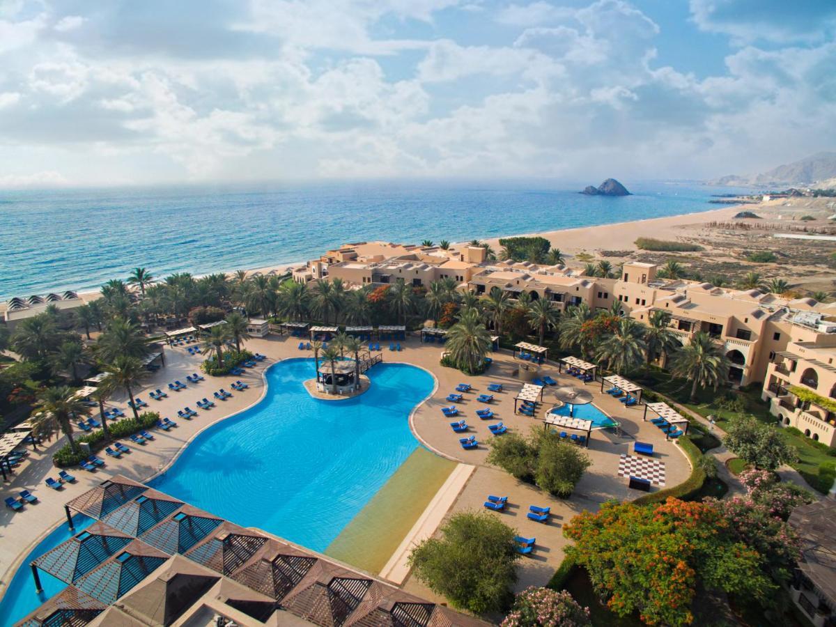 Miramar Al Aqah Beach Resort Swimming Pool