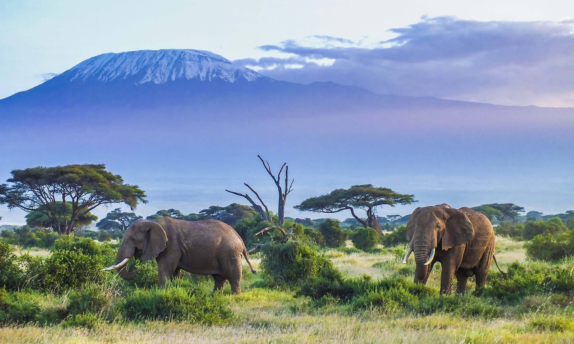 Mount Kilimanjaro (5,895 m)