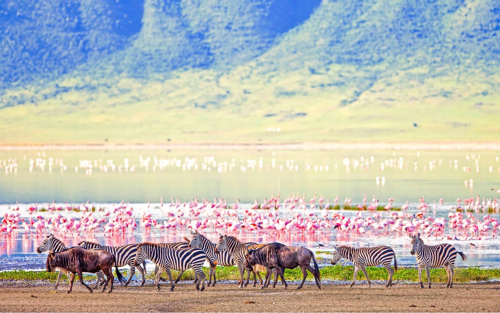 The Ngorongoro Crater