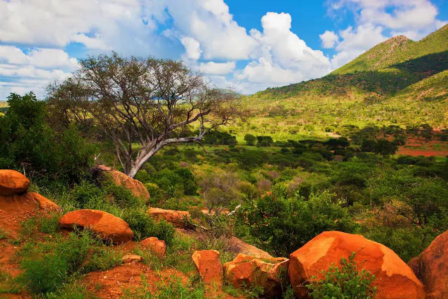 Exploring Kenya Safely: A Comprehensive Guide for Traveller